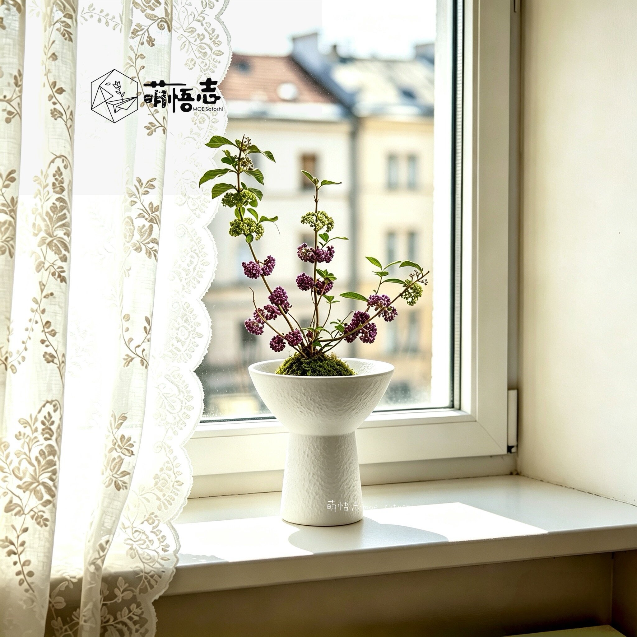 白色高脚花盘苔藓球陶瓷花盆一叶蕨造景插花无孔水培摆件高足禅意