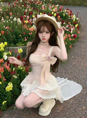 【瑞茜】目光收割机 春季纯欲风公主小众设计半裙R9162-1D