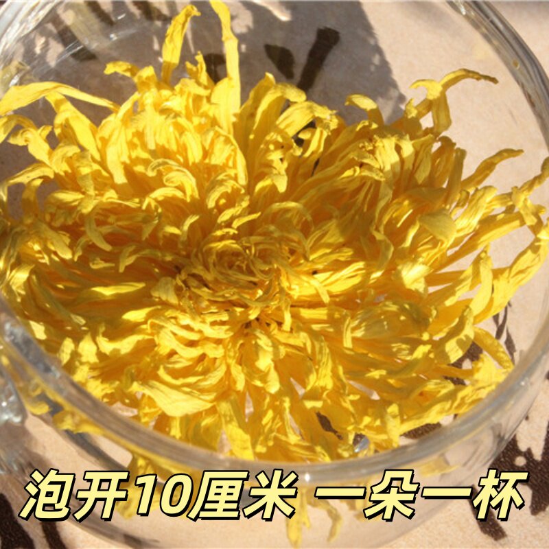 金丝皇菊一朵一杯大菊花黄山徽州皇菊婺源黄菊贡菊胎菊