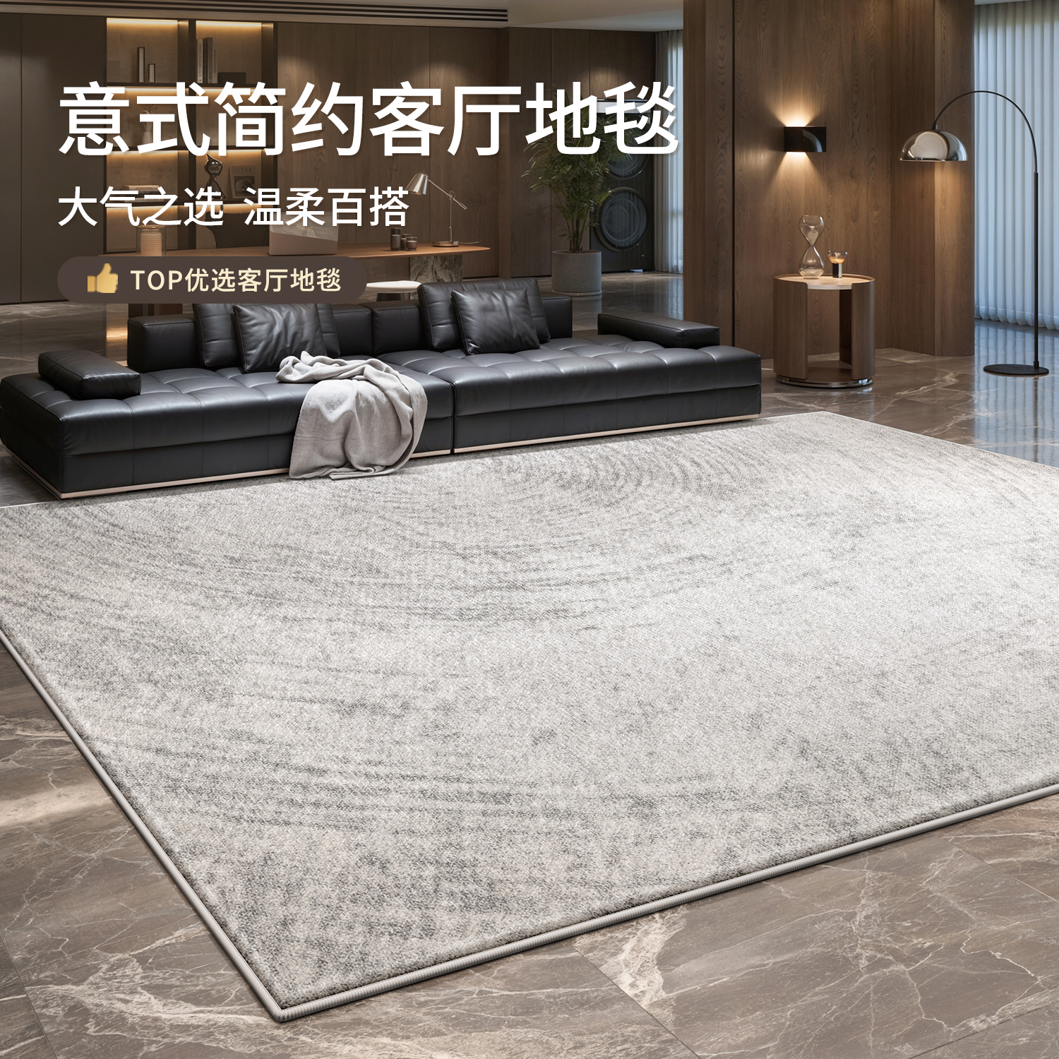 地毯客厅意式轻奢极简免洗地垫