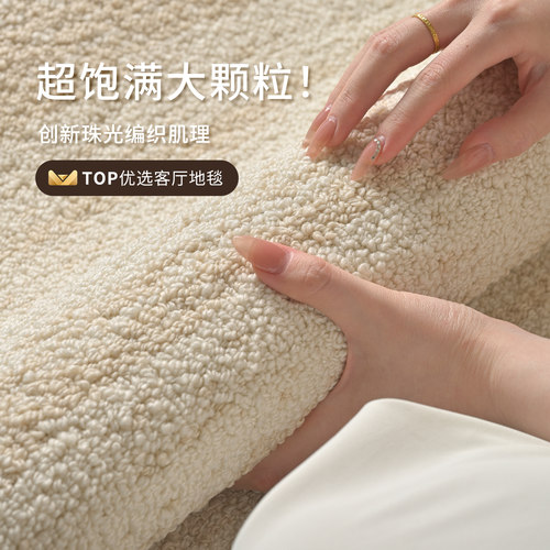 地毯客厅硅藻丝防水免洗可擦地垫