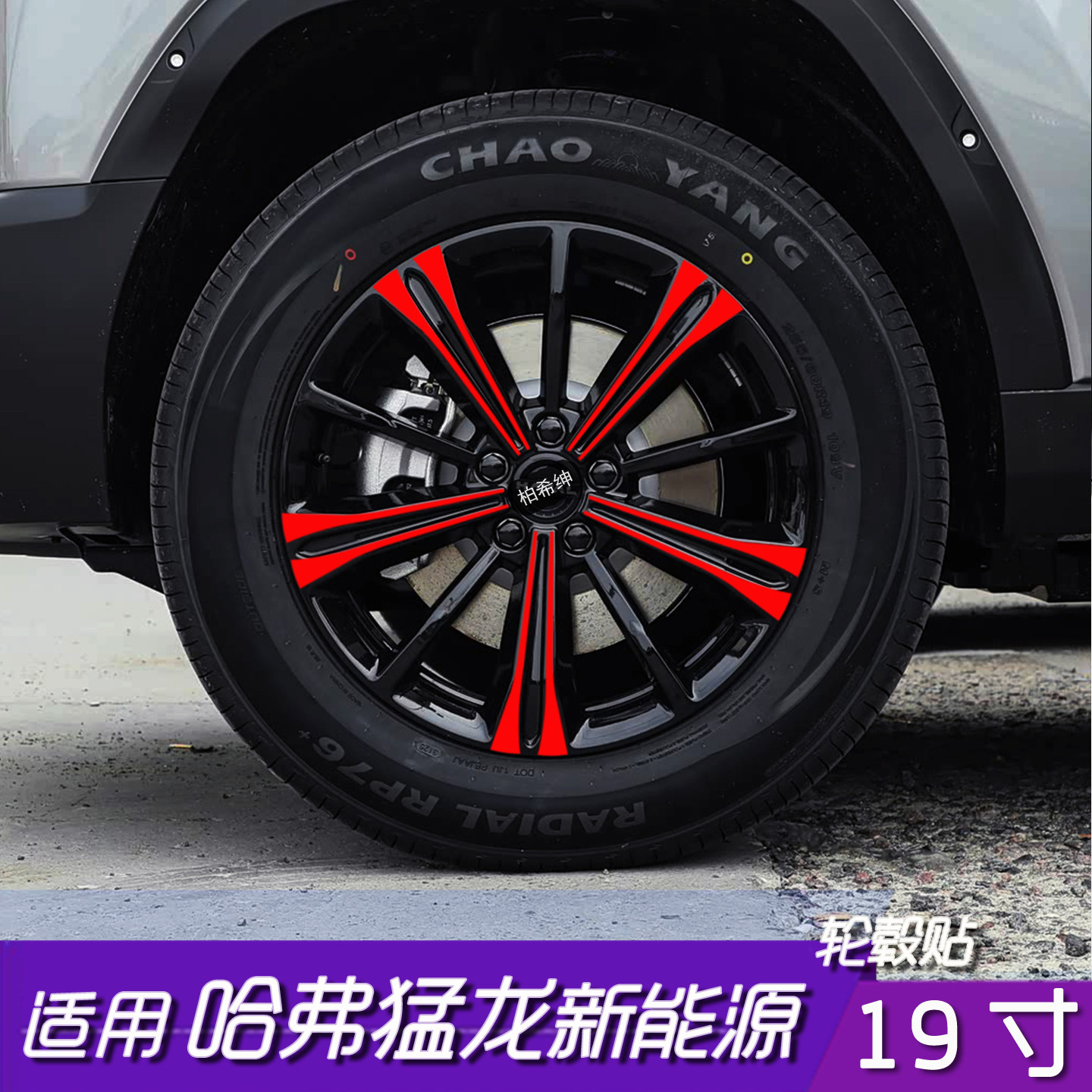哈弗猛龙新能源19寸轮毂保护贴