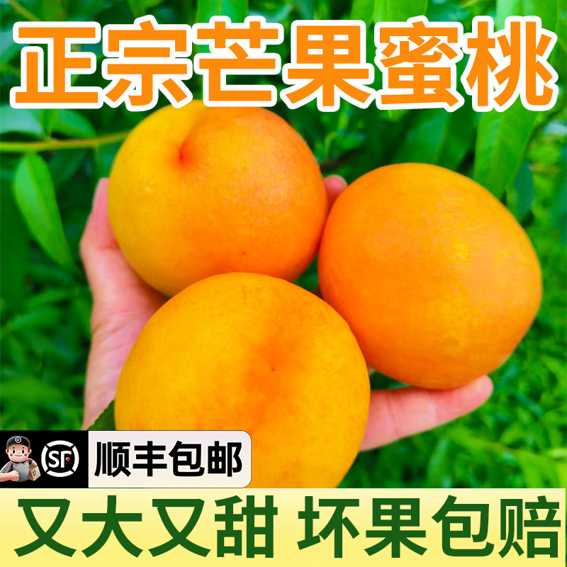 黄金油桃整箱大黄桃子时令应季水果新鲜孕妇蜜桃顺丰包邮5斤脆桃