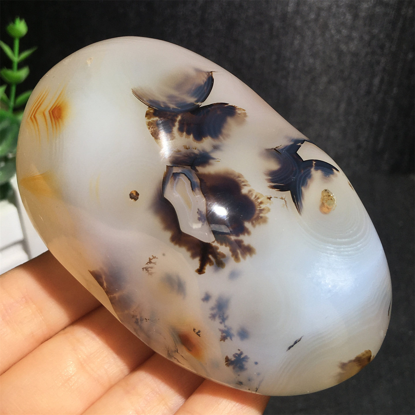 天然马达加斯加海洋水草玛瑙原石把玩石收藏奇石实物图
