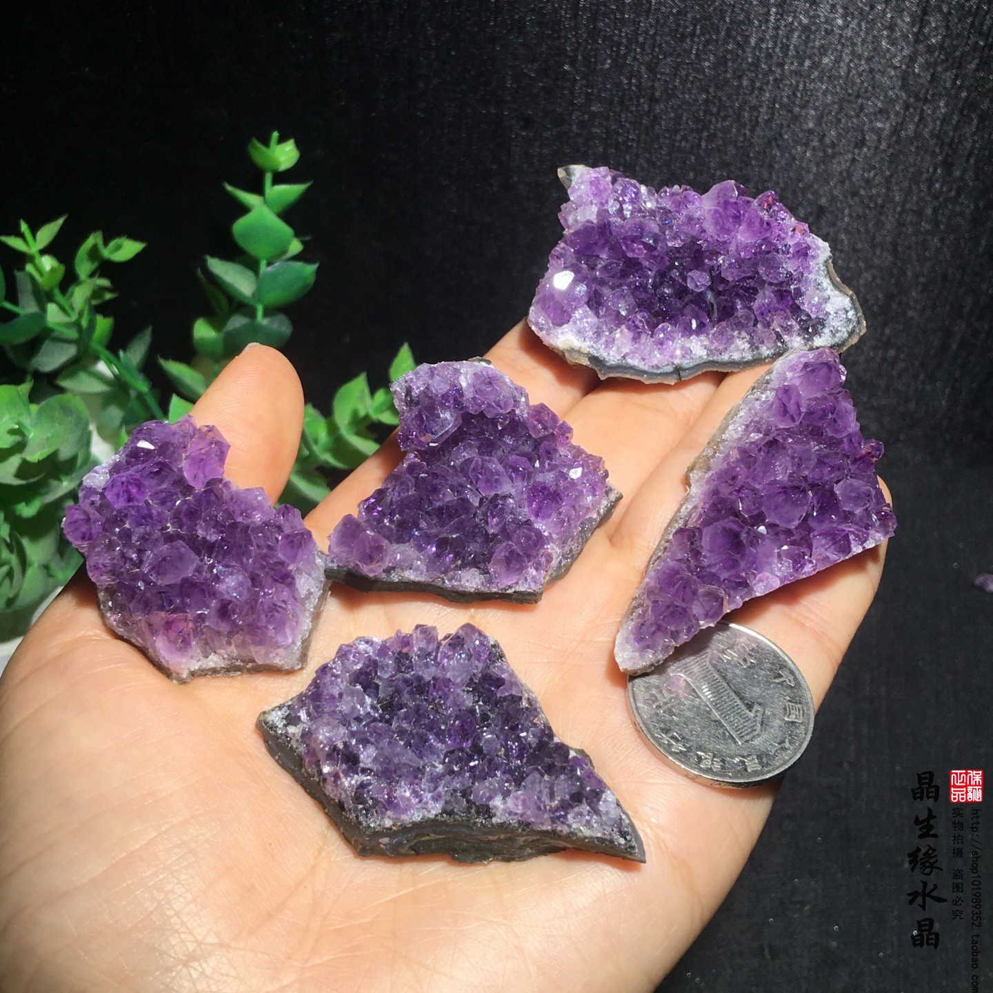 天然紫水晶簇原矿矿标收藏矿石实物图总重123克一组
