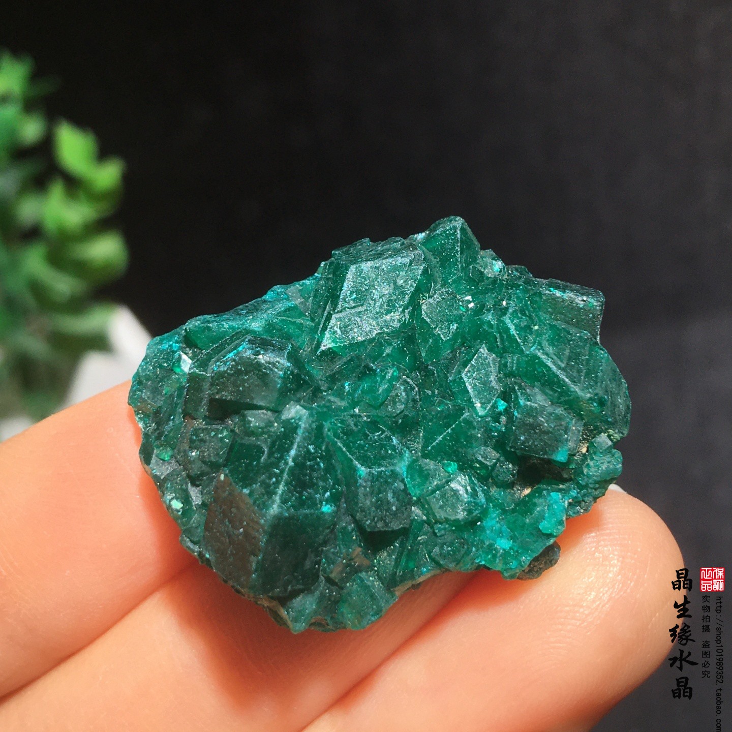 天然刚果翠铜矿小原矿收藏矿石实物图特价
