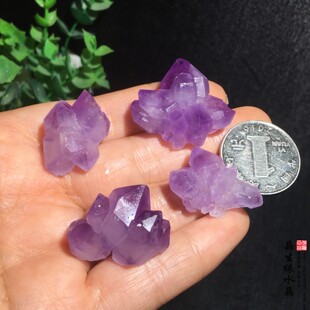 天然紫水晶晶簇 紫水晶 晶簇牙原生态多牙原石原矿实物图一组