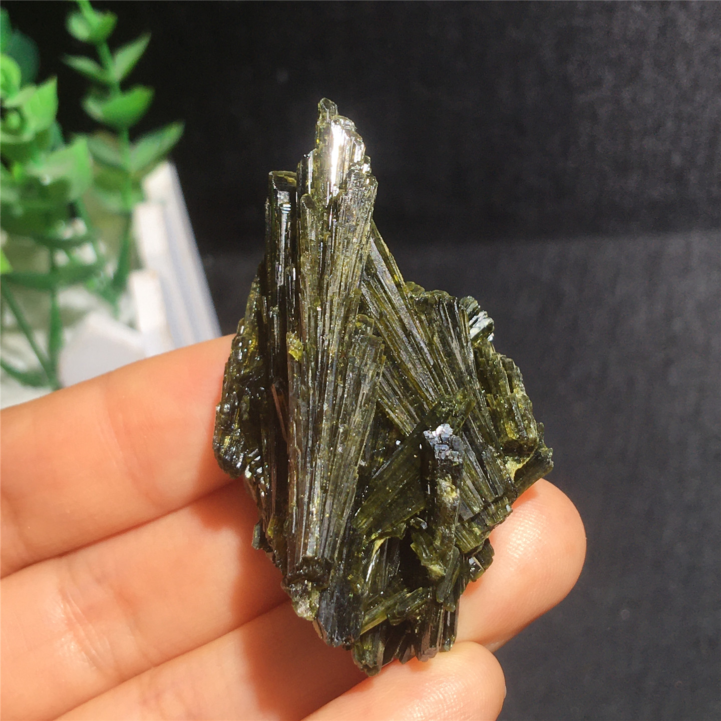 天然绿帘石原矿小原矿教学标本收藏石实物图多款可选