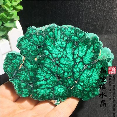 天然孔雀石切片绿色矿物晶体观赏