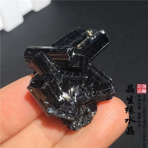 高品质纯天然黑碧玺晶簇电气石原石小收藏矿实物图多款可选