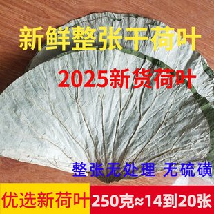 微山湖整张荷叶250g叫花鸡荷叶鸡包糯米鸡用荷叶新鲜熬粥干荷叶片
