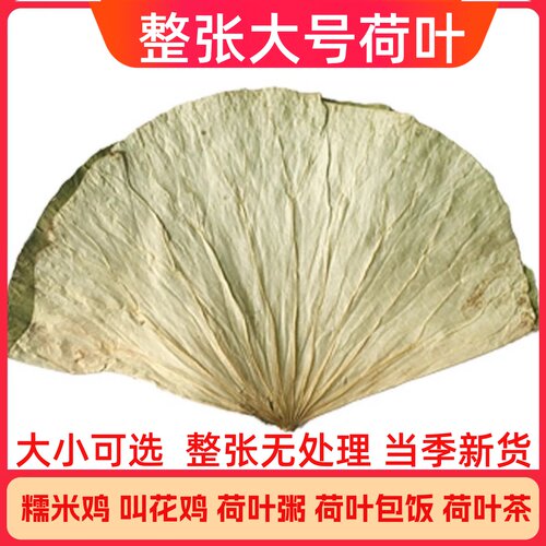 无添加糯米鸡专用荷叶叫化鸡荷叶