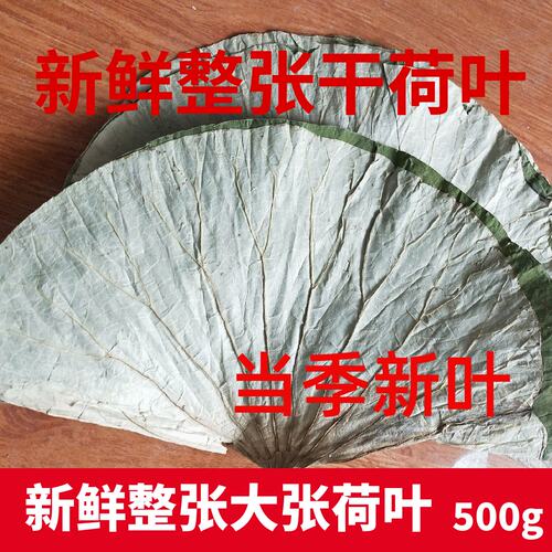 无添加荷叶糯米鸡荷叶熬粥叫花鸡