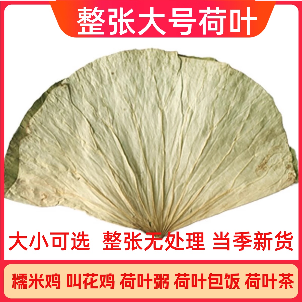 糯米鸡荷叶叫化鸡专用荷叶