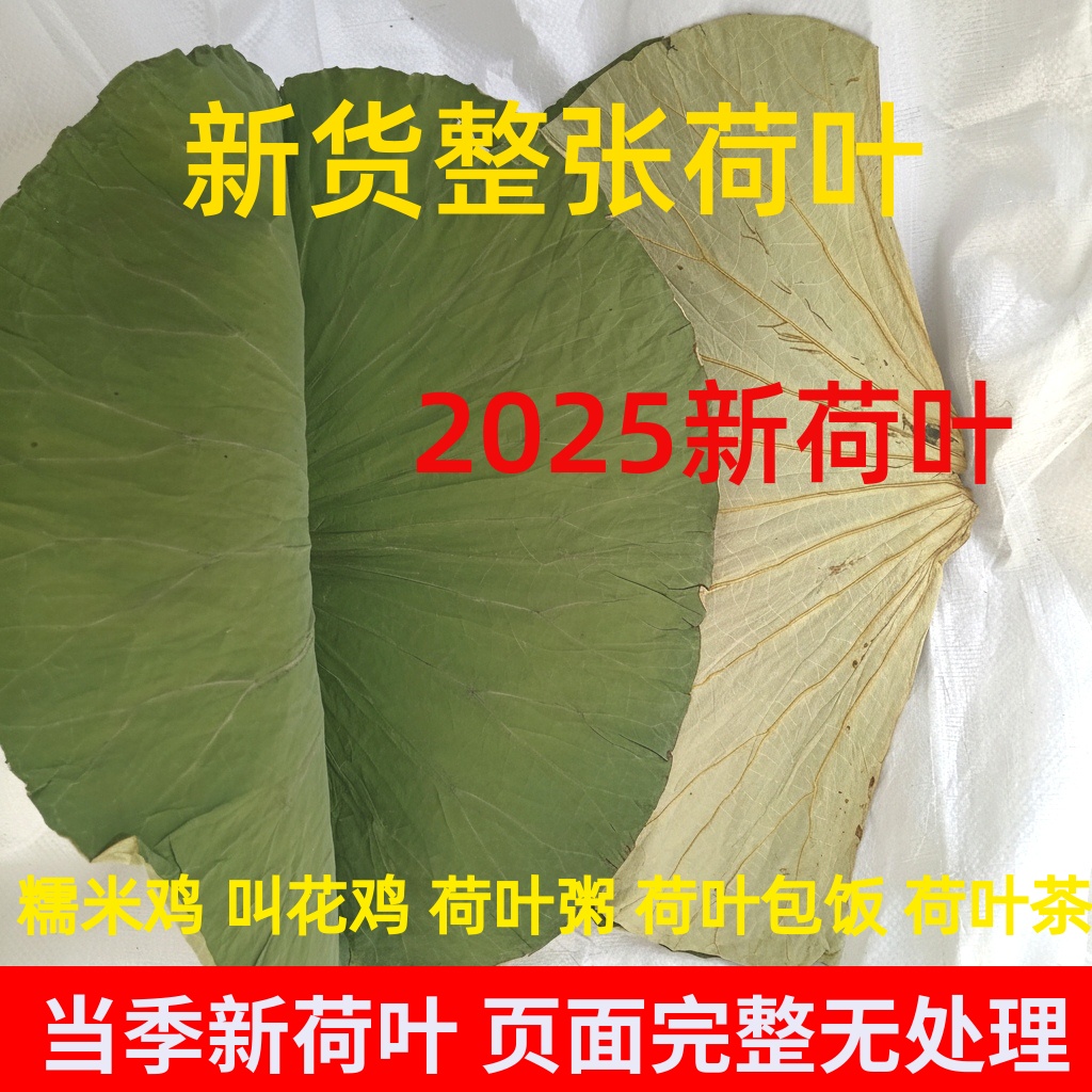 荷叶整张干荷叶叫花鸡用包糯米鸡荷叶木桶饭荷叶粥专用新鲜荷叶片
