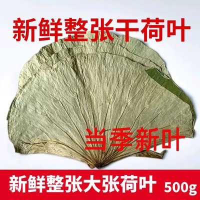 荷叶糯米鸡干荷叶山东整张叫花鸡