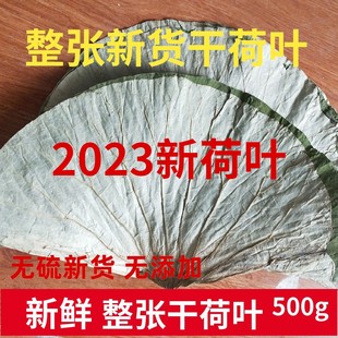 干荷叶500g整张荷叶叫花鸡荷叶荷叶鸡包糯米鸡用荷叶粥新鲜干荷叶