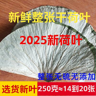 无添加荷叶叫花鸡糯米鸡用荷叶粥