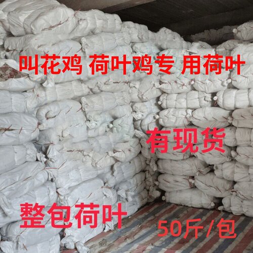 2025整张荷叶50斤叫花鸡专用荷叶鸡用糯米鸡荷叶叫花鸡整张荷叶