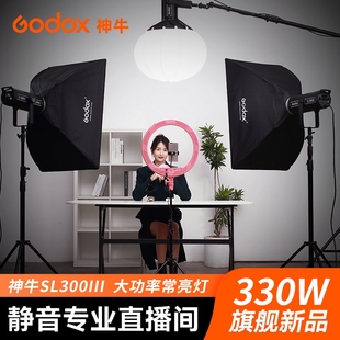 神牛SL300 III三代直播补光灯330W太阳灯影视级光效柔光球形专业拍视频儿童服装拍照聚光发丝常亮灯led摄影灯