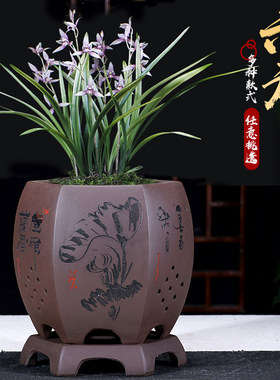 紫砂花盆六方造型兰花盆