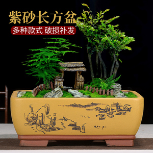 花盆紫砂陶瓷长方形盆景罗汉松