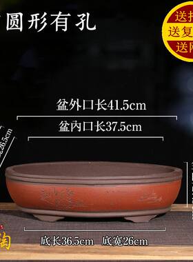 椭圆形长方形紫砂花盆腰圆树桩盆