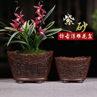 紫砂陶瓷元宝花盆君子兰兰花多肉法师老桩发财树陶瓷聚宝盆盆景盆