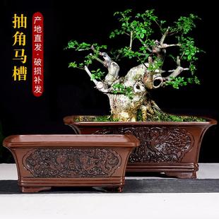 紫砂花盆椭圆形长方形大口径专用花卉文竹绿植盆景榕树仿古浮雕盆