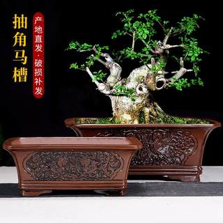 陶瓷花盆椭圆形长方形大口径专用花卉文竹绿植盆景榕树仿古浮雕盆