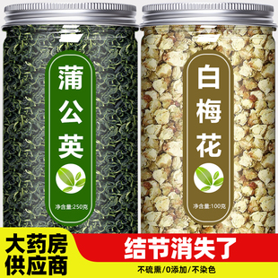 蒲公英和白梅花中药材茶野生新鲜干绿萼梅干花特级正品官方旗舰店
