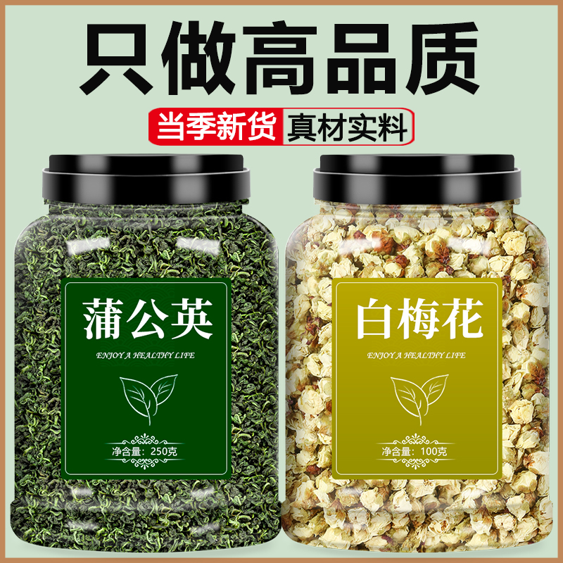 蒲公英和白梅花中药材茶