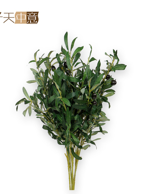 仿真树枝果实绿色永生花植物叶子