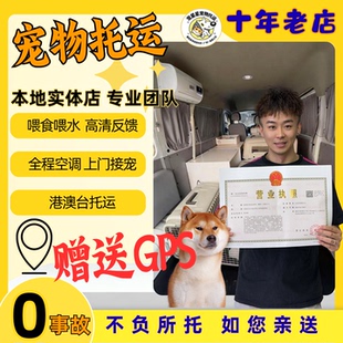 全国宠物托运猫咪狗狗服务专业手续办理运输成都上海北京深圳广州
