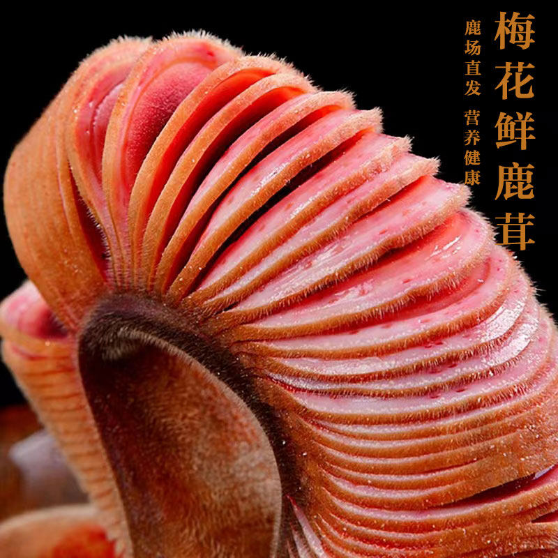 吉林梅花鹿整只鲜鹿茸切片正品鹿茸片头茬切片男泡酒滋补调理50g