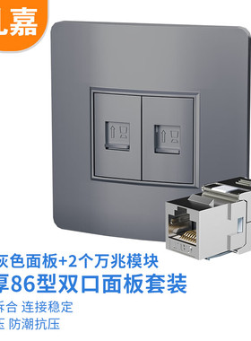 礼嘉（LIJIA）七类万兆模块面板组合 双口面板+七类免打屏蔽模块2个 二位网络模块插座免打线灰色款 LJ-MH872