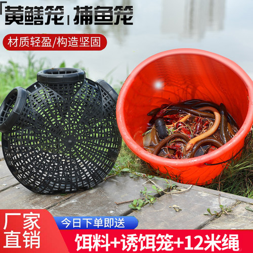 朝宇鱼虾效果惊人三个进口