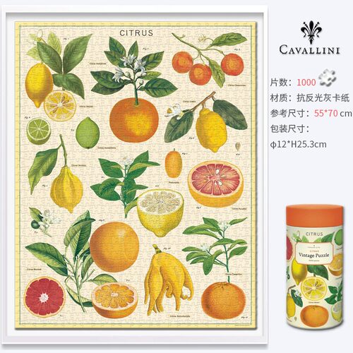 cavallini复古文艺拼图1000片美国进口玩具柑橘植物园花园盆栽