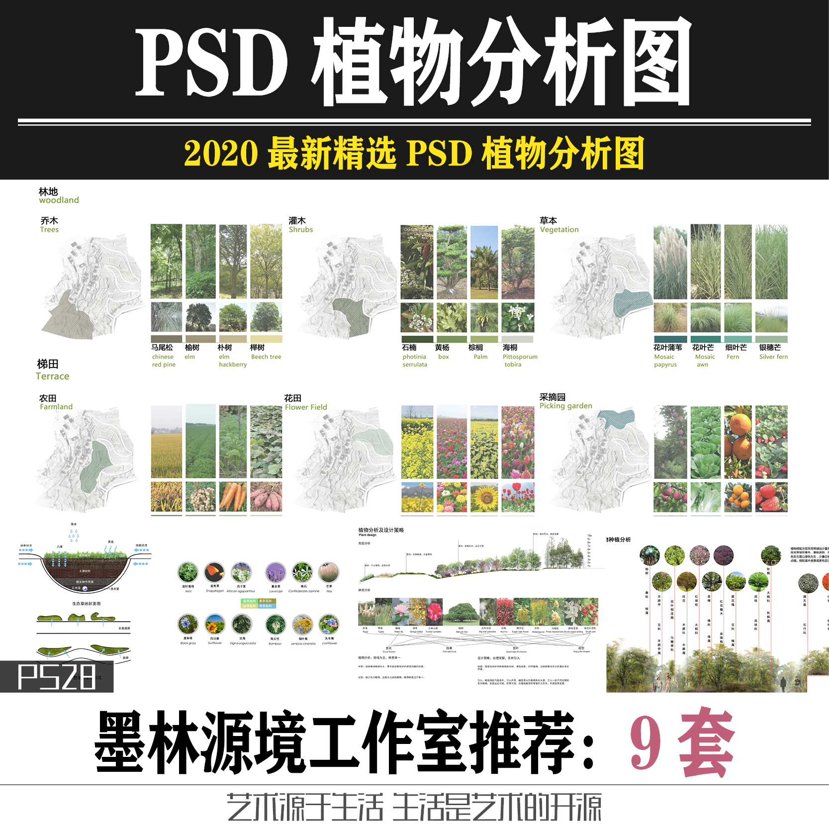 园林景观植物分析图psd素材植物ps专项种植设计策略搭配方案