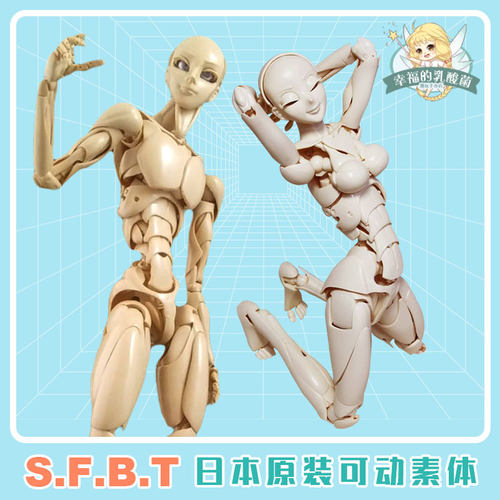 S.F.B.T可动素体女款男体