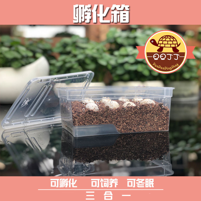 冬眠孵化养乌龟三合一