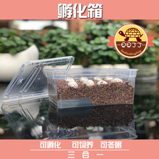 三合一孵化饲养冬眠盒箱爬宠乌龟冷血动物孵化石园艺扦插多肉蛭石
