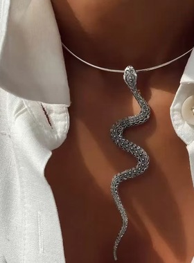精致简约水钻蛇形夸张项圈女时尚项链性感派对宴会礼服吊坠配饰品