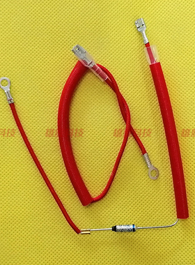 通用电压力锅电饭煲保险丝温度保险管带线端子RY TF172度 10A250V