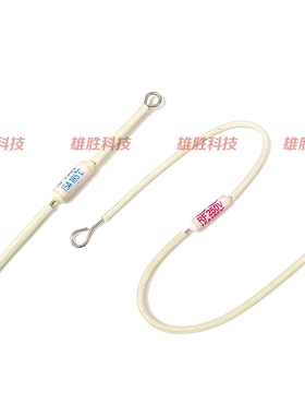 电饭煲锅温度陶瓷保险丝管过热熔断保护器RF185度 15A 250V 185C
