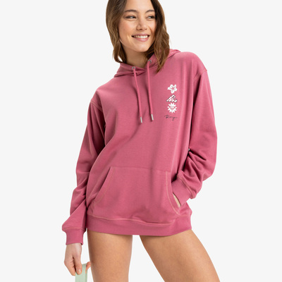 【质感毛圈】澳洲出口原单 春装新款 连帽纯色百搭套头卫衣 女