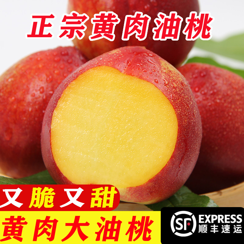 正宗砀山黄心麻点油桃新鲜油桃应季水果新鲜黄心脆油桃子整箱顺丰