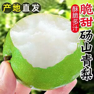 原产地砀山现摘皇冠梨