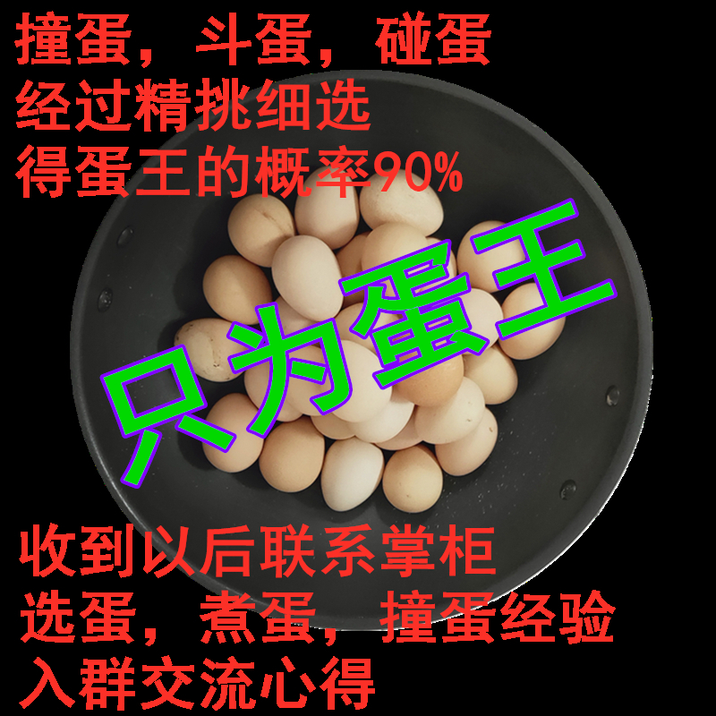 精选现货珍珠鸡蛋立夏端午节碰蛋斗蛋王石头撞蛋拐蛋柱蛋10个顺丰