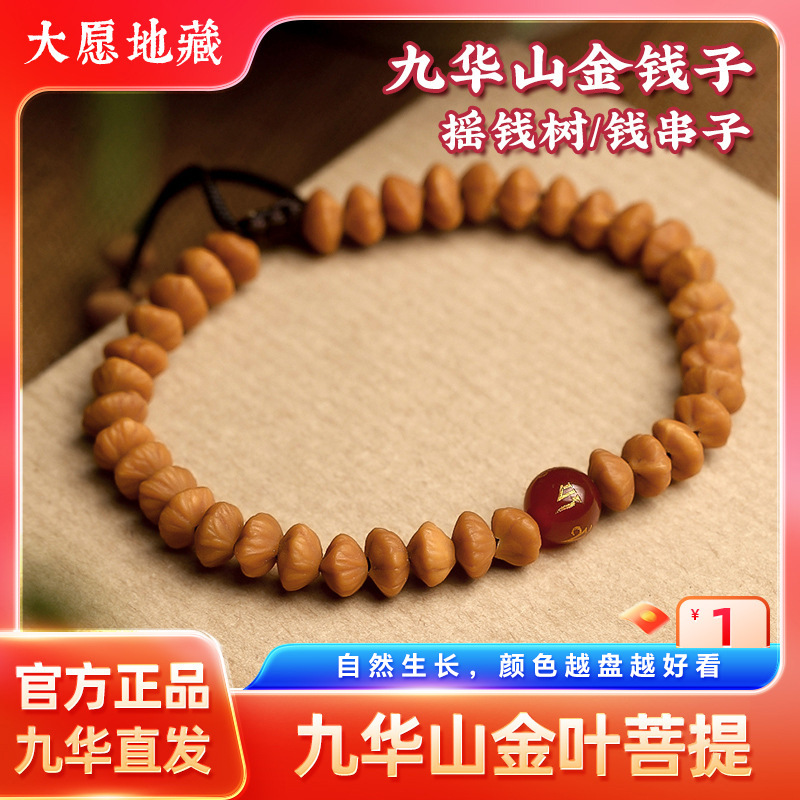 金钱子手串九华山金叶菩提子手串摇钱树手串女士冷门文玩佛珠手链